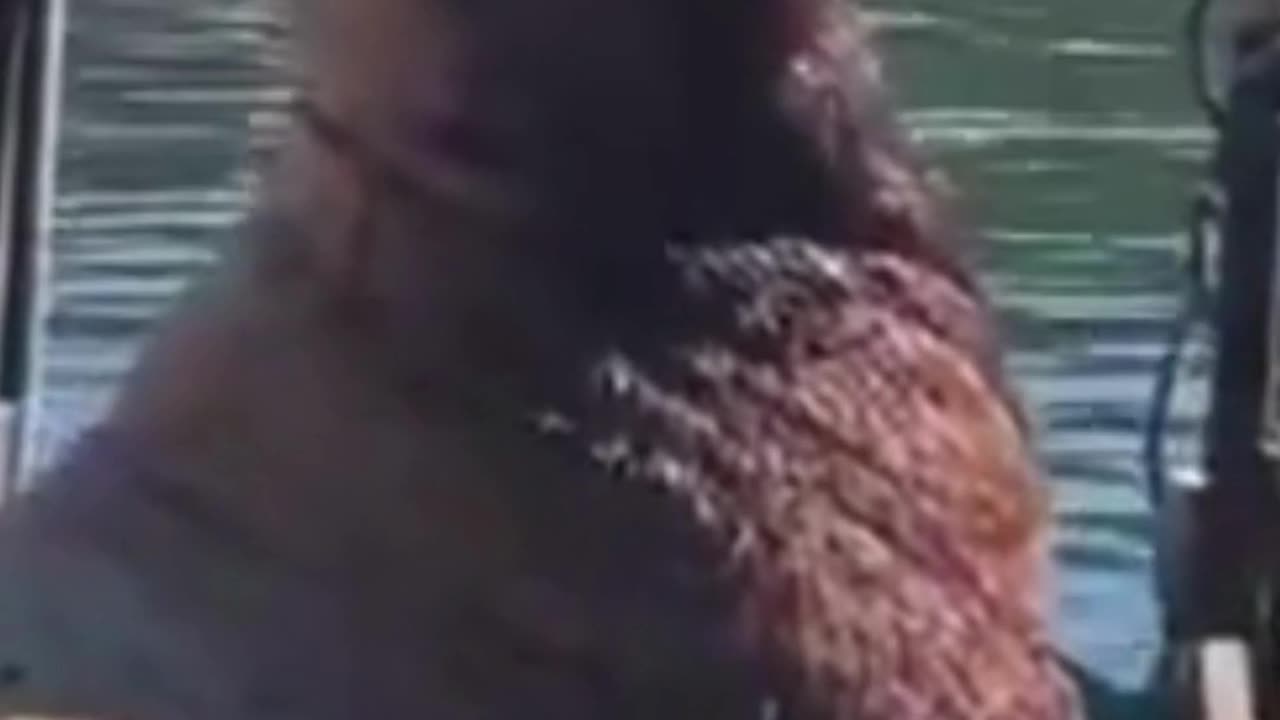 Sea lion Takes over Russian Fishing Boat