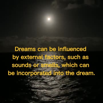 Dream Facts #2