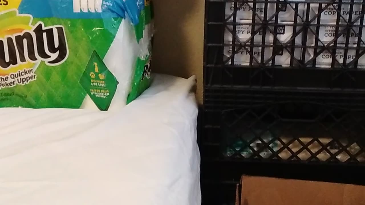 Going out later. Please pray when I announce I am going.