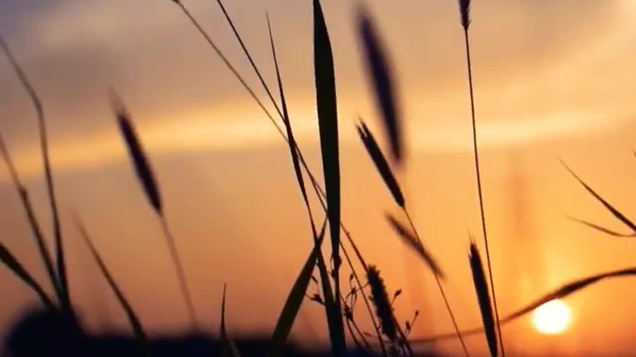 Kesariya song slowed reverb watsapp status