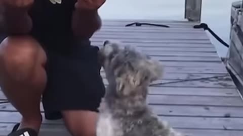FUNNY FISHING FAILS #shorts #19 #fishing #fishingfails #funny #failcompilation #memes #funnyclips
