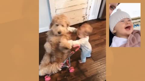 Dogs and baby funny video 😁