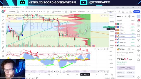 Coinbase International First, THORSWAP FREEZE, Blackrock ETF -EP362 10/6/23 #cryptocurrency #crypto