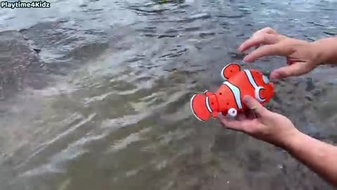 Welcome to ocean creatures World