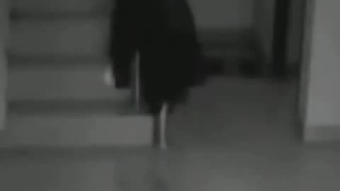 Unexpected Paranormal Activity Video