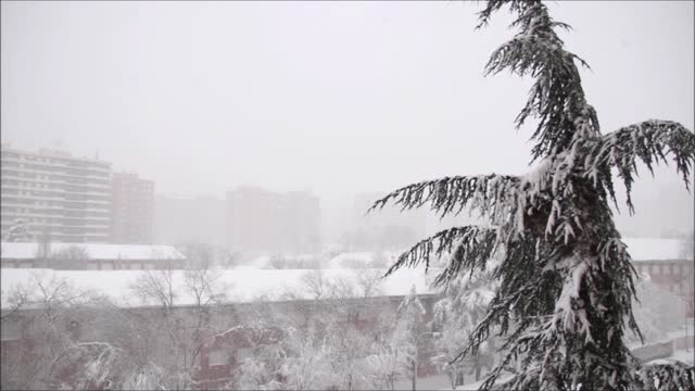 Relax under a snowstorm😴 One hour of relaxation to the sound of a blizzard🌨