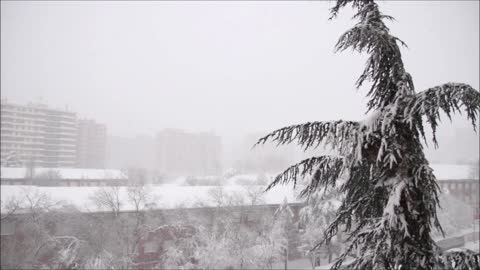 Relax under a snowstorm😴 One hour of relaxation to the sound of a blizzard🌨