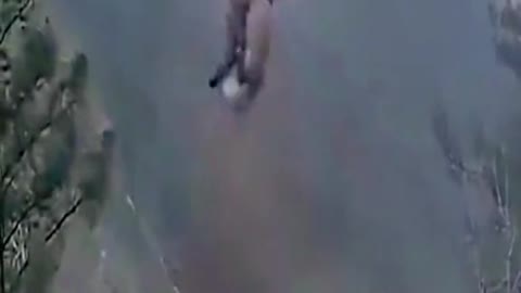 That’s a chopper not a bird