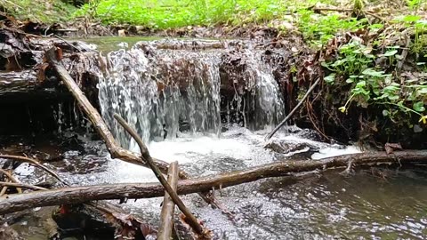 small waterfall in a forest in slowmotion