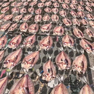 Preserving Flavor, The Timeless Process of Bulad Production