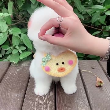 Do you like teacup dogs?