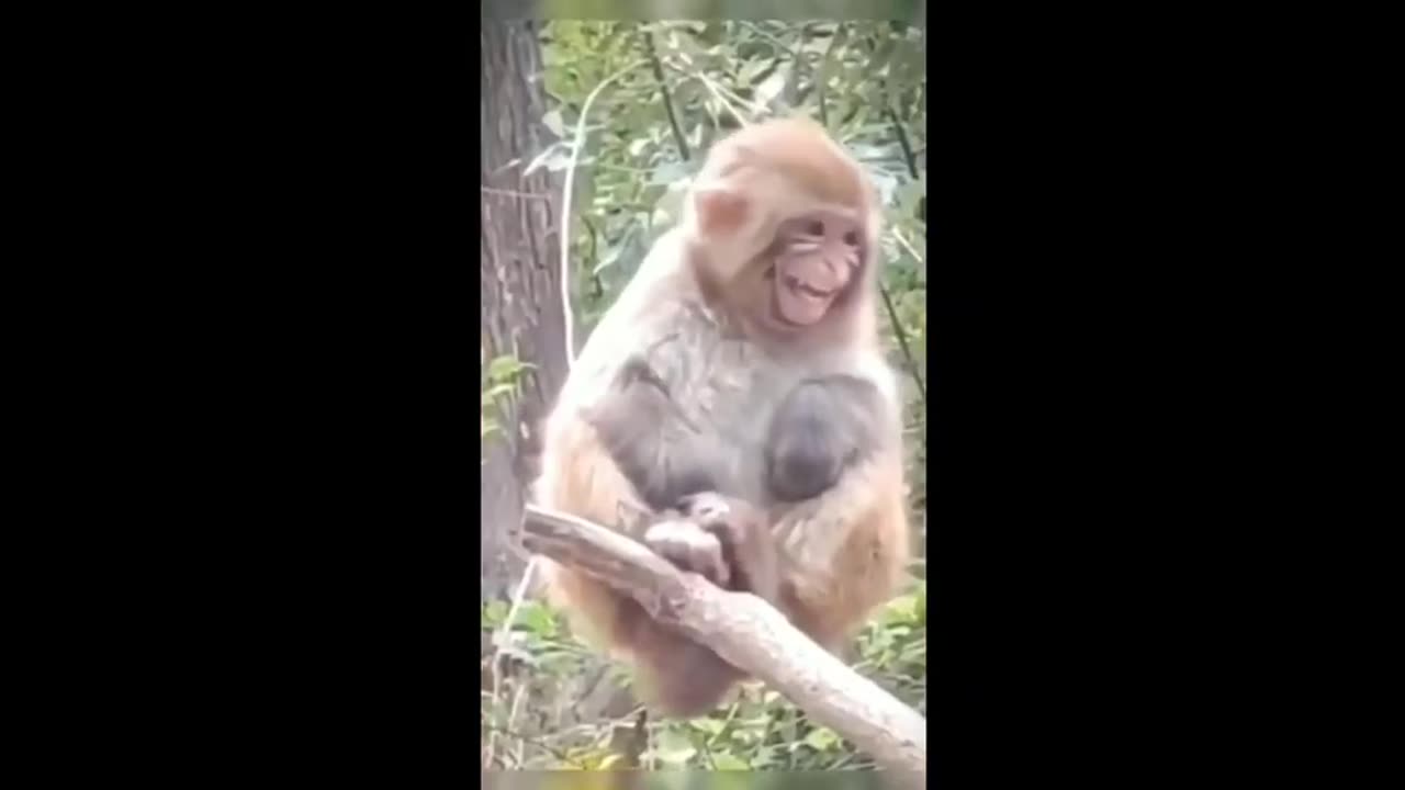 YOU LAUGH YOU LOSE IMPOSSIBLE FUNNY FAILS 2023