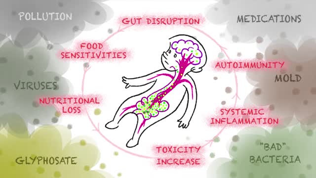 Autism inflammatory cycle from gut to brain