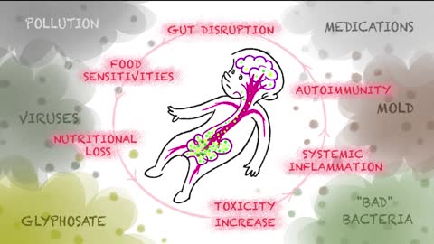 Autism inflammatory cycle from gut to brain