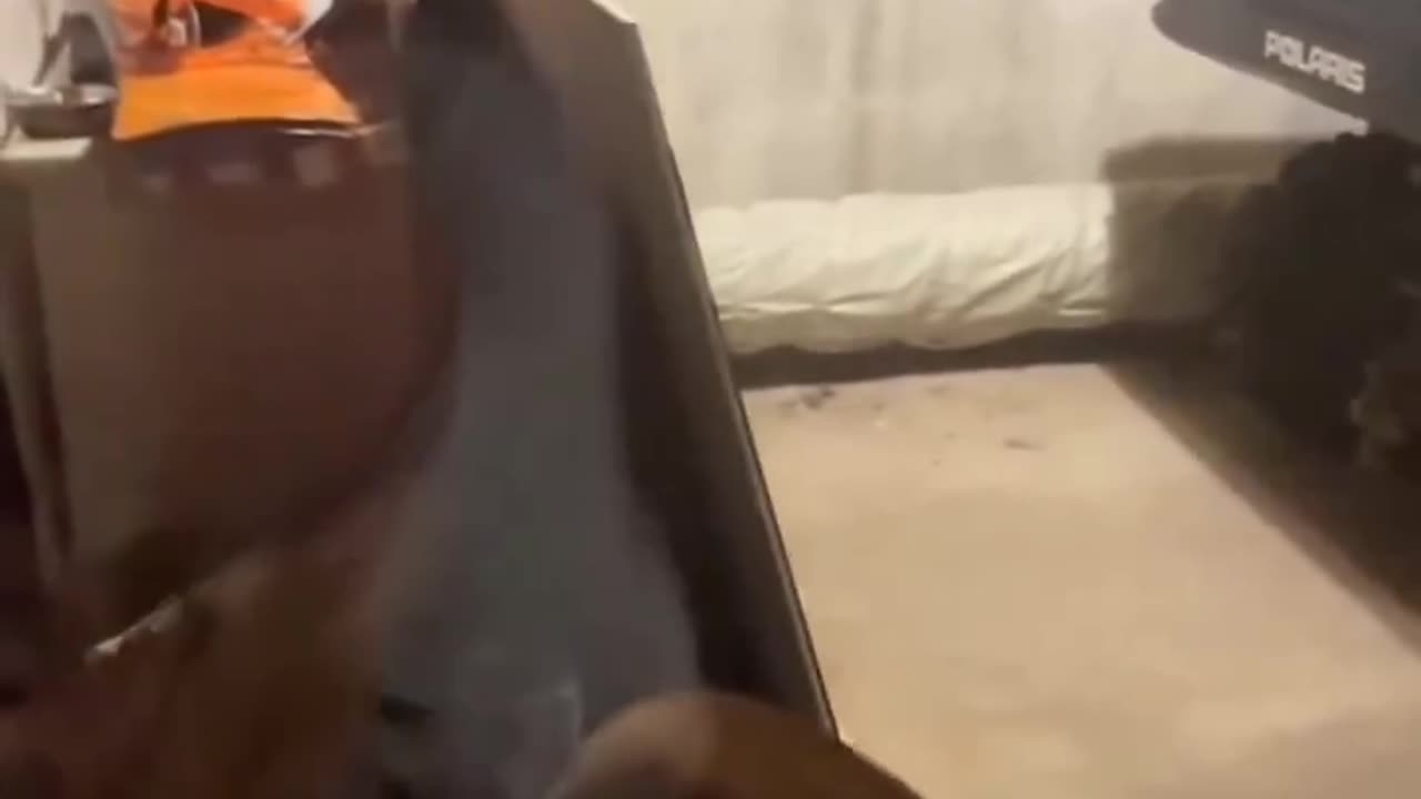 Mountain Lion In Your Garage
