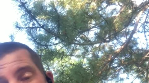 You guys share that Piglow wants you to win