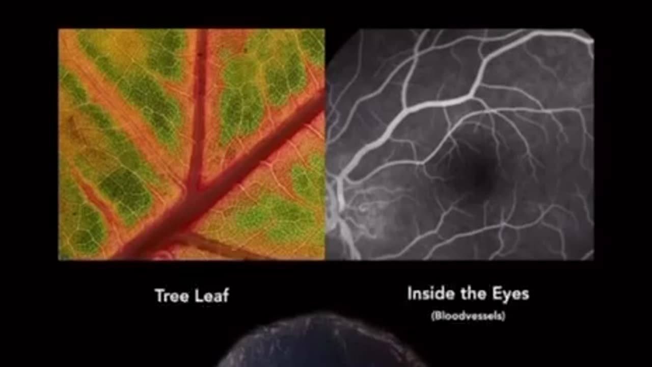 Explaining The Universe in 2 Minutes
