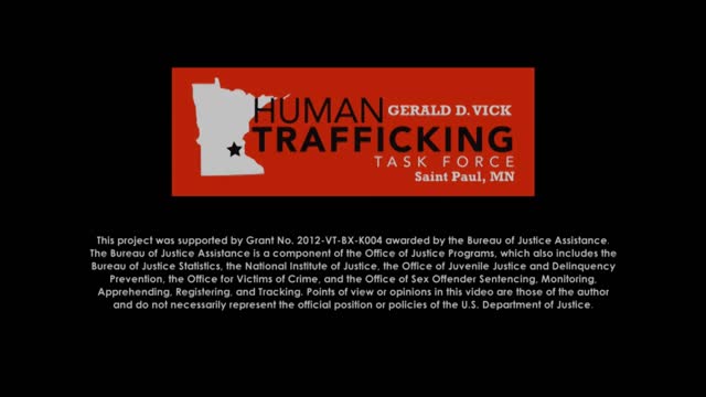 Sex Trafficking in Minnesota - System Professionals Edition: Identification