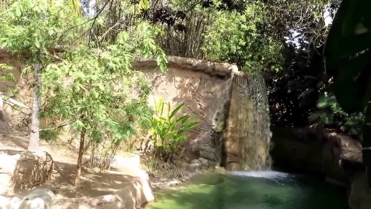 Waterfall At The Zoo