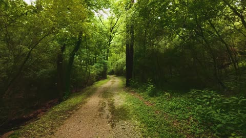 Healing and relaxing by Nature