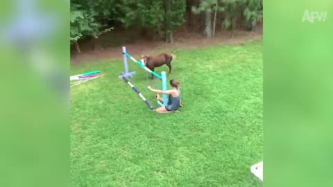 You Cannot Get Enough of These BACKYARD FAILS! Funny Videos Compilation 2023