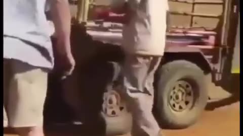 violence against white
