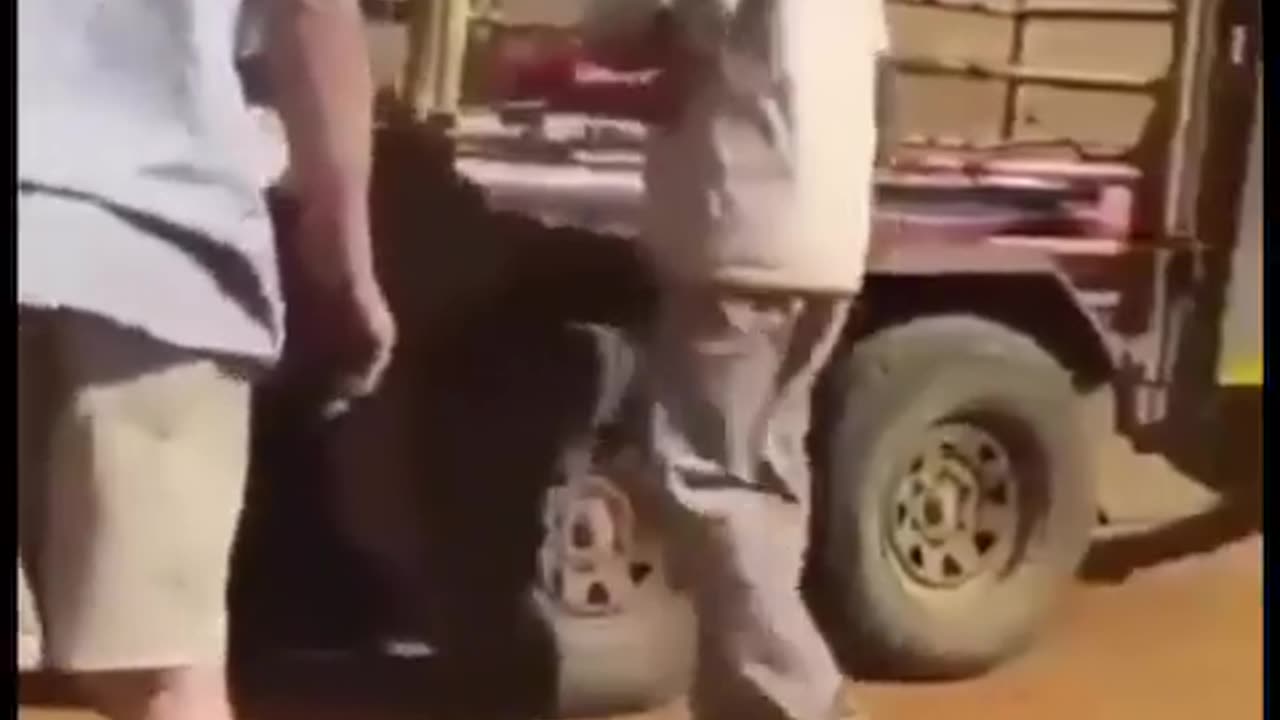 violence against white