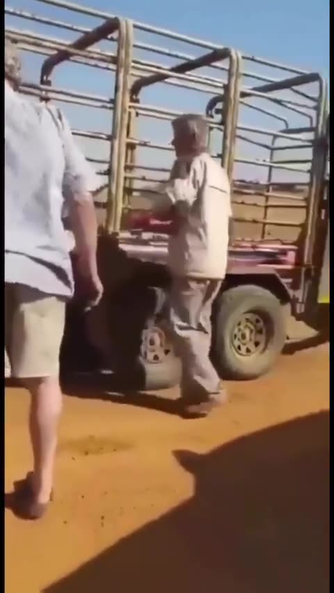 violence against white