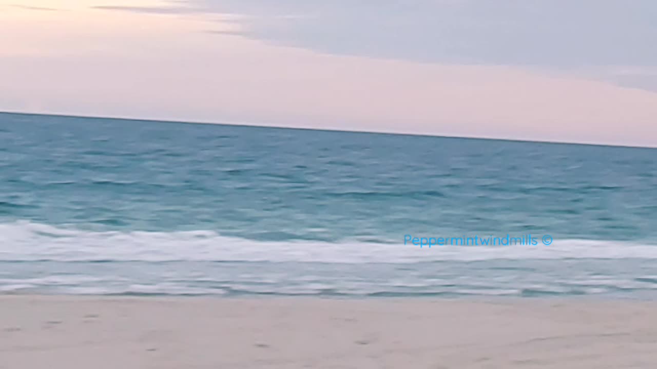 A Crow flying along the sandshore 🐚🏖️⛱️