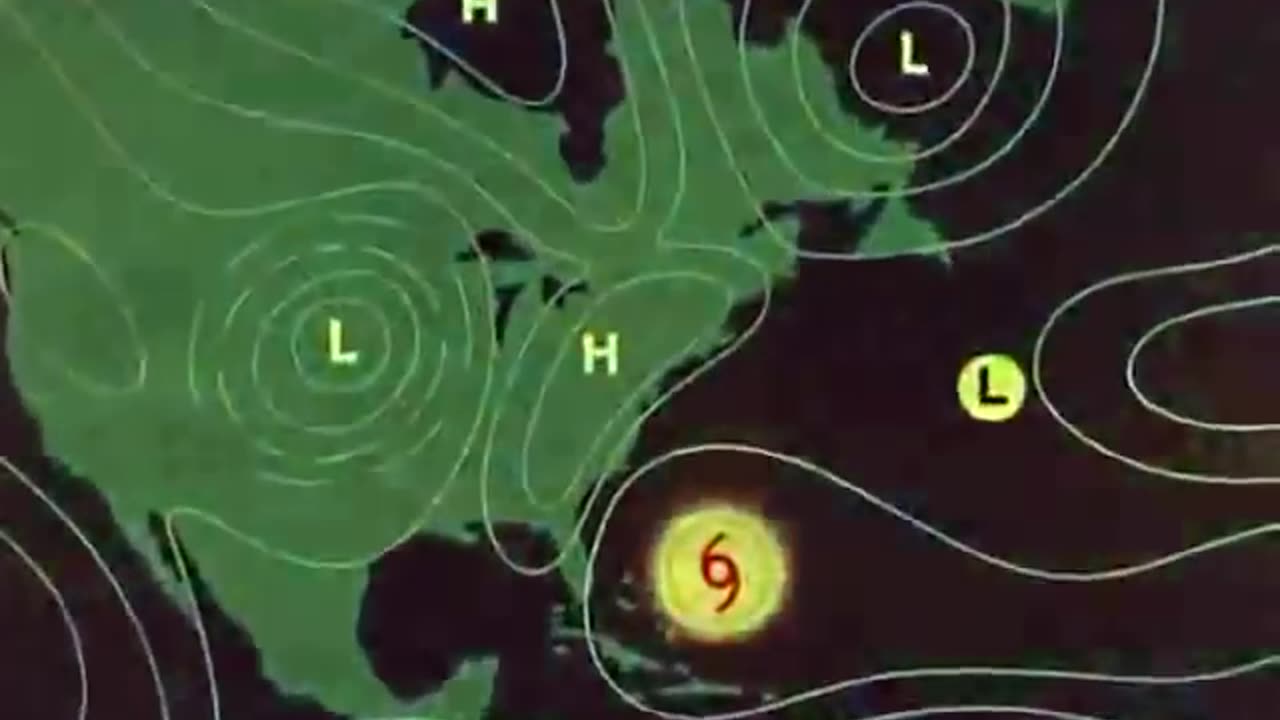 Walt Disney hurricane 1959