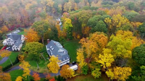 Enchanting Autumn Forests with Beautiful Piano Music