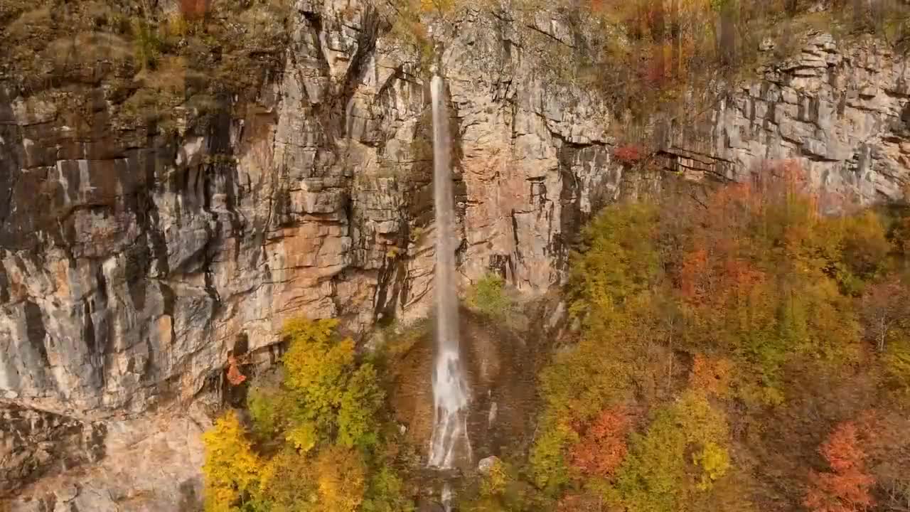 Enchanting Autumn Forests with Beautiful Piano Music