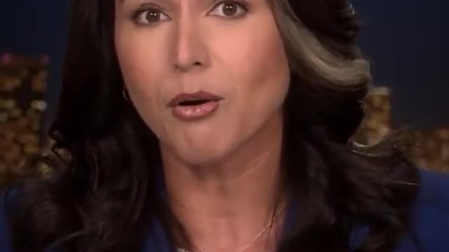 Tulsi Gabbard: If You're Against The Establishment, They Will Destroy You | The Washington Pundit