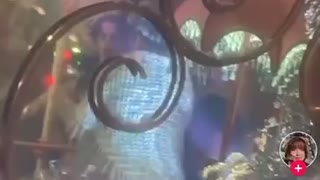 Hollywood is always grooming