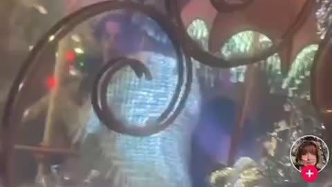 Hollywood is always grooming