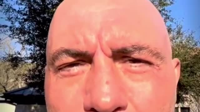 Rogan Gives EPIC Response To Liberals Freaking Out Over Spotify