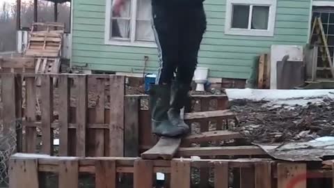 Flimsy Wooden Remains of Goat Penn Break as Guy Attempts to Jump Off Them