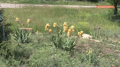 Shells,-settlers,-bread:-the-war-near-Slavyansk-(video)