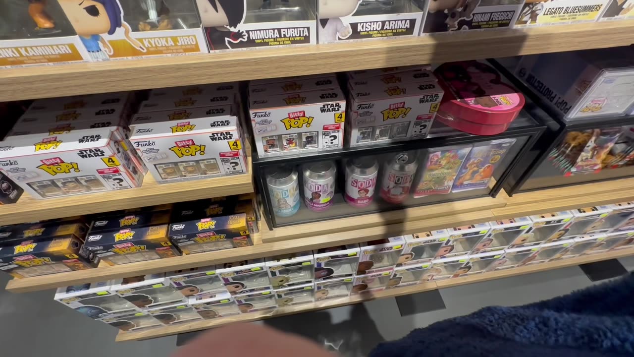 FUNKO FIGURE HUNT