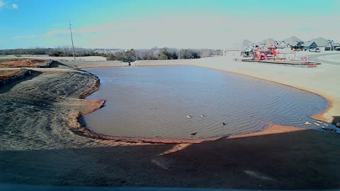 The Pond