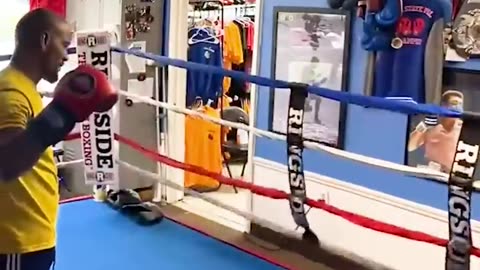 Instant Regret Bully enters Boxing ring