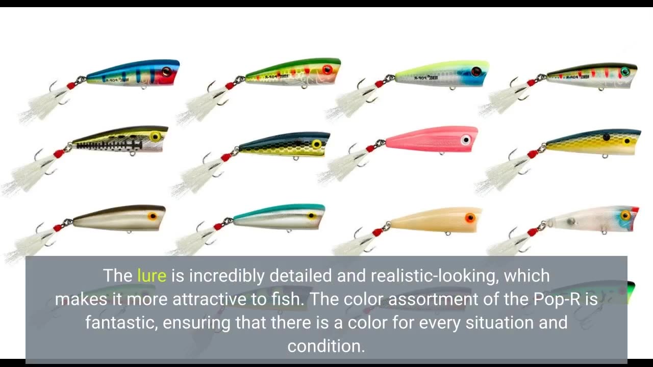 Customer Feedback: Rebel Lures Pop-R Topwater Popper Fishing Lure