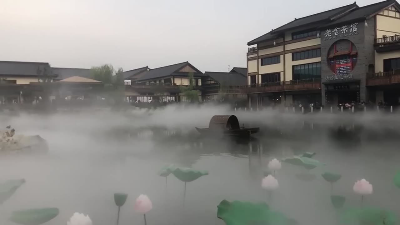 lotus