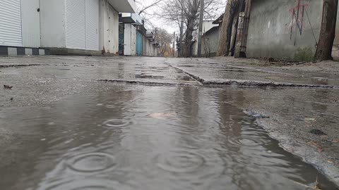 Rain in the market