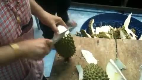 How to cut Durian from Modyim Durain King.