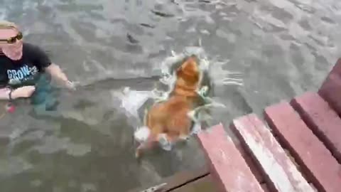 Sometimes You Just Need to Jump