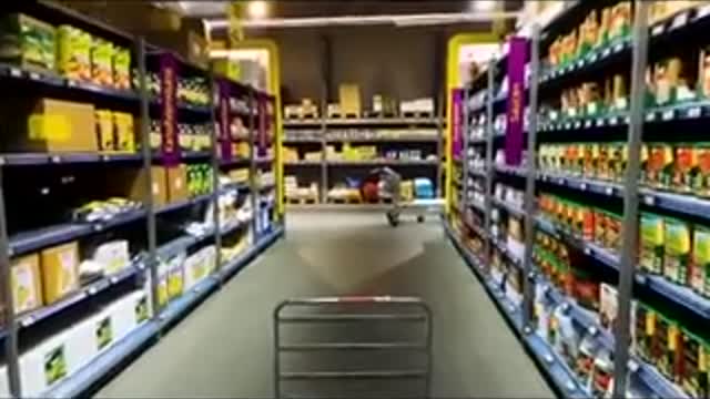 Summary of the modern medicine and weaponized food industry