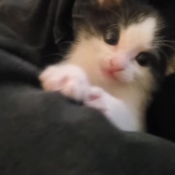 Her reaction is so cute