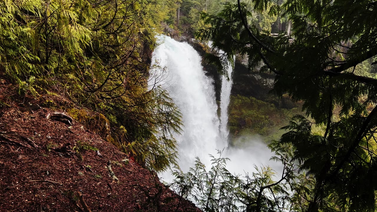 BITE-SIZED WILDS | STANDING DIRECTLY PARALLEL TO THE MIGHTY SAHALIE FALLS! | Central Oregon | 4K