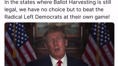 Mr T - Ballot Harvesting